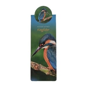 Cardmarks Kingfisher Bird Wild Nature Magnetic Magnet UK Company If 2402 Y2k 00s